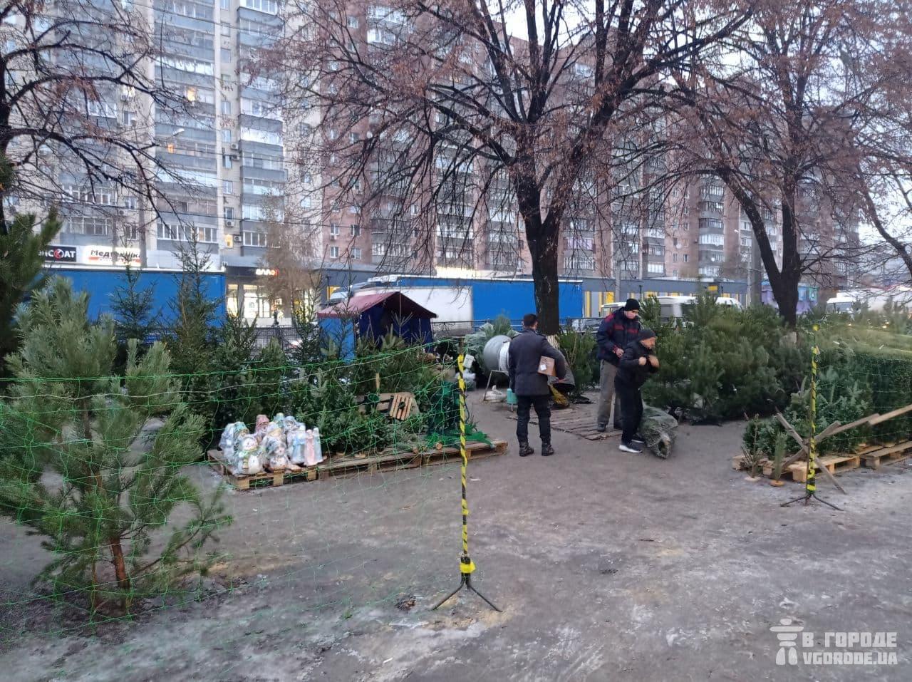 Елочный базар в Харькове 2020. Фото: Vgorode